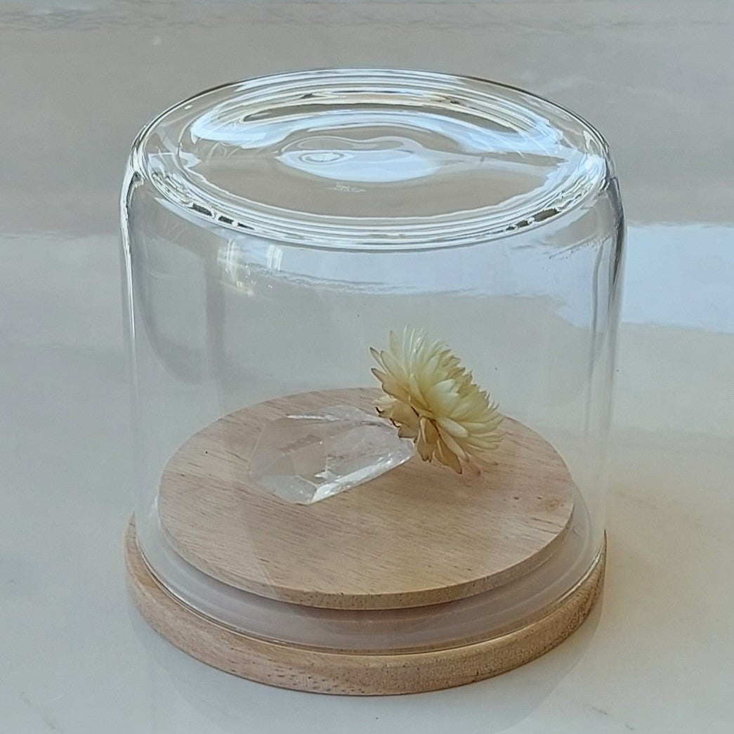 Mini Wellbeing Glass Dome & Gift Box