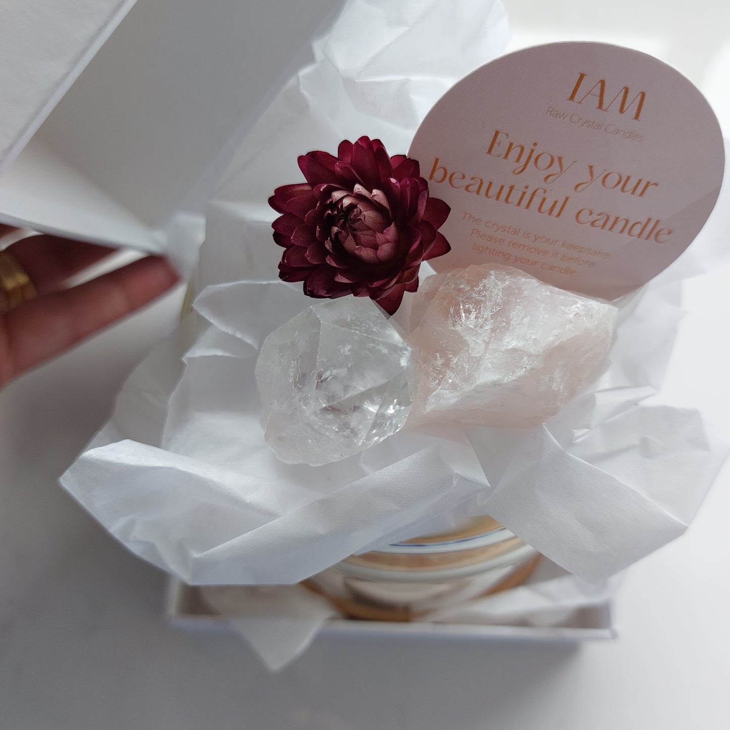 Mini Wellbeing Glass Dome & Gift Box