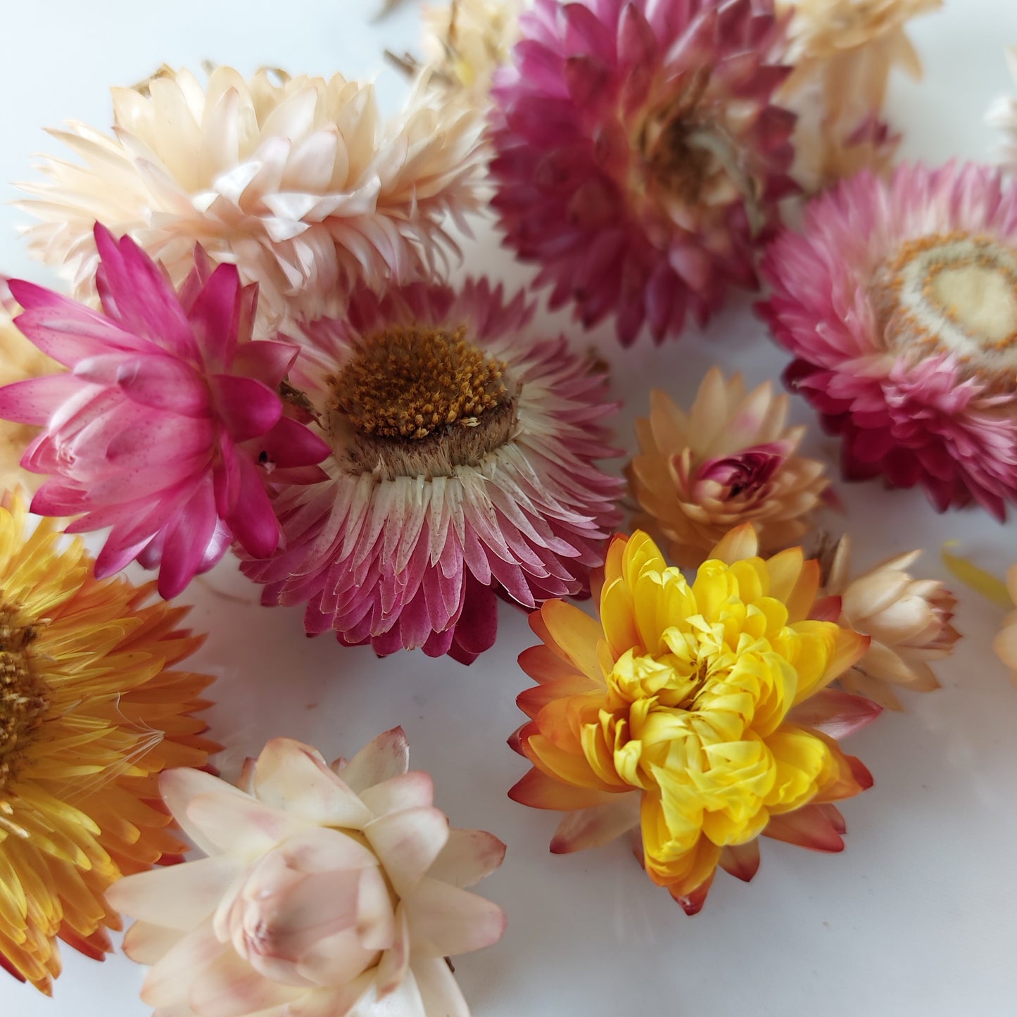 Wellbeing Series Garnet I Cleansing, Balancing & Energising
