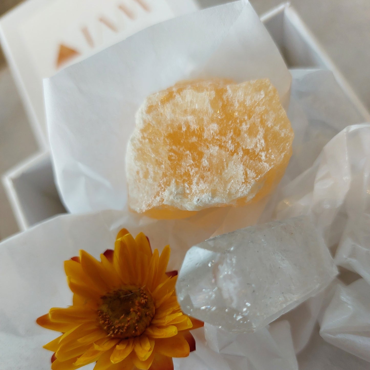 Wellbeing Series  Garnet I Cleansing, Balancing & Energising